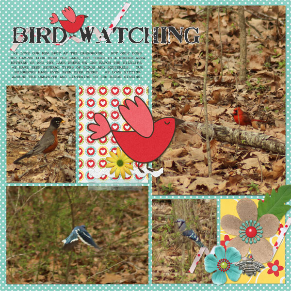 Bird Watching