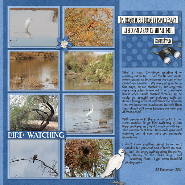 Bird Watching