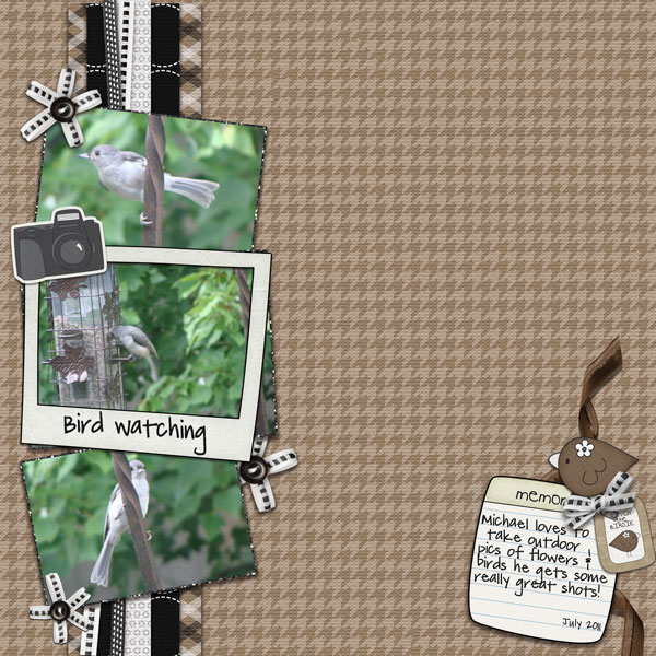 Bird Watching