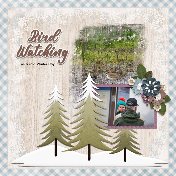 Bird Watching