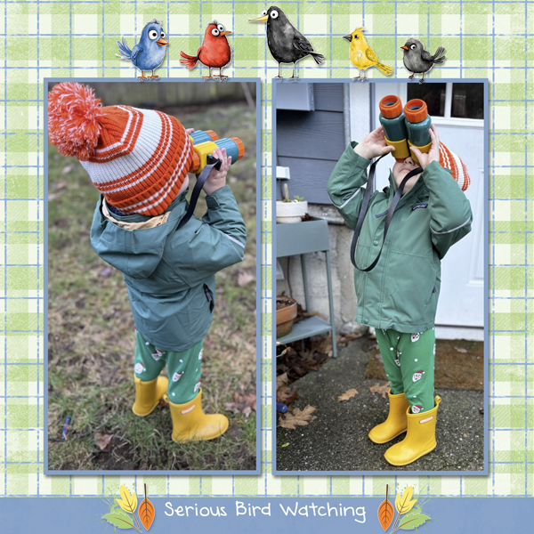 Bird Watching
