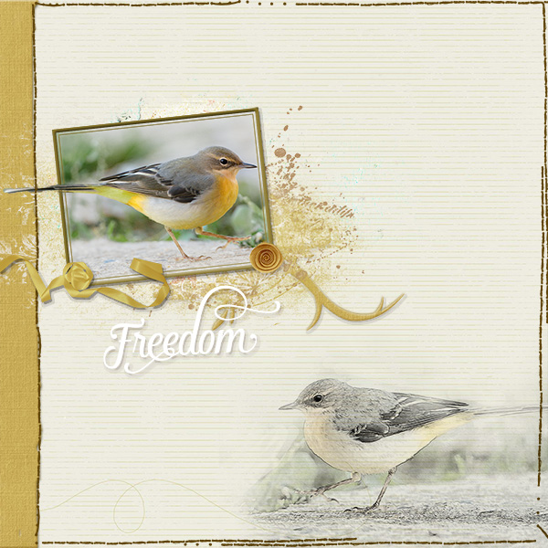 Bird