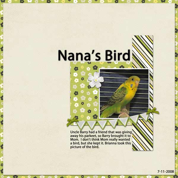 bird