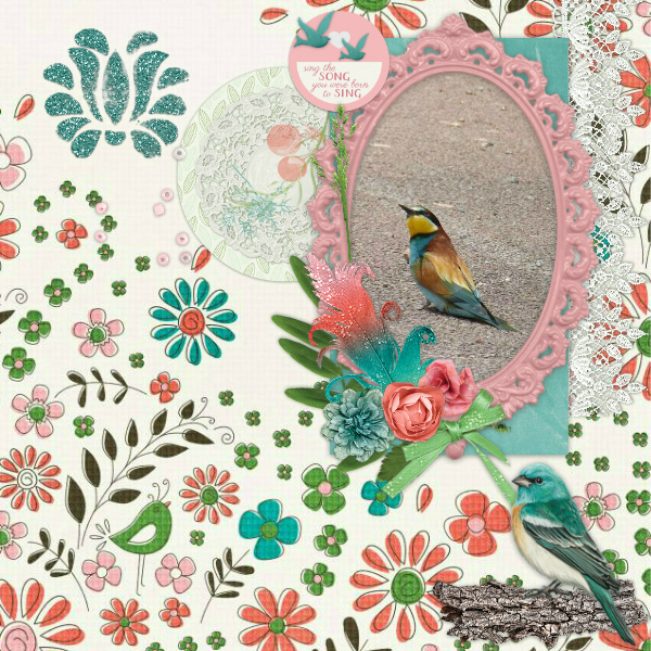 Bird2