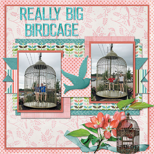 Birdcage 2017