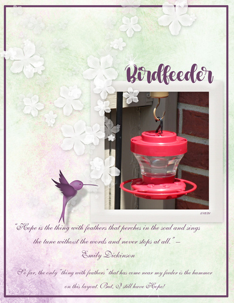 Birdfeeder