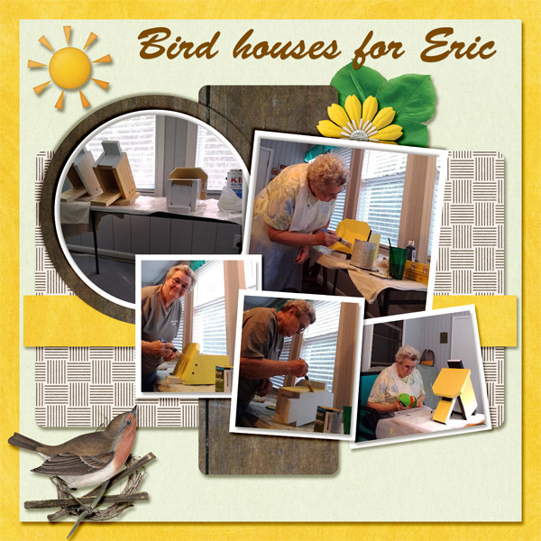Birdhouses for Eric