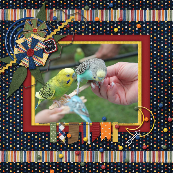 Birdies