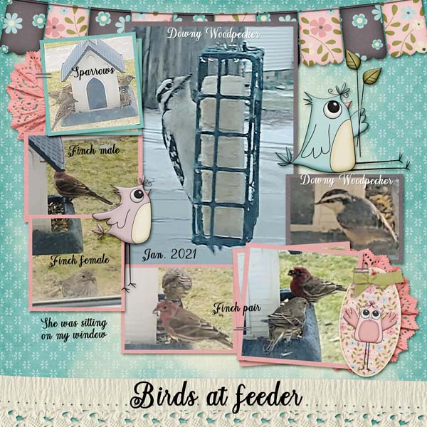 Birdies