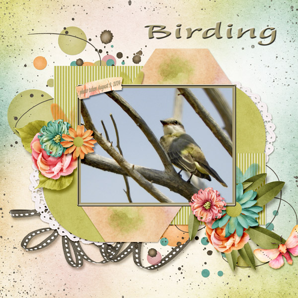 birding_small1