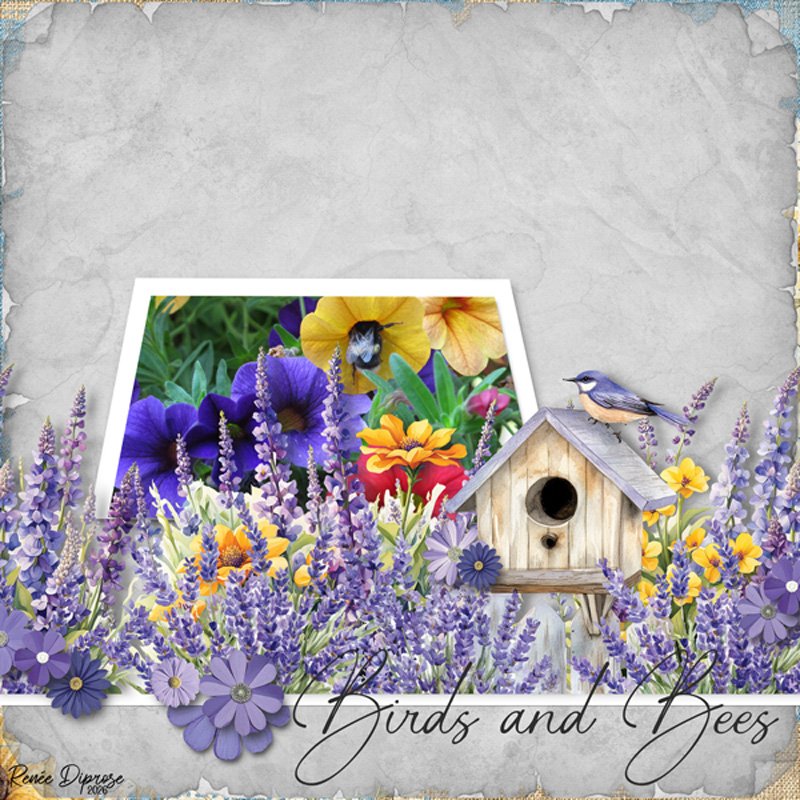 Birds and Bees