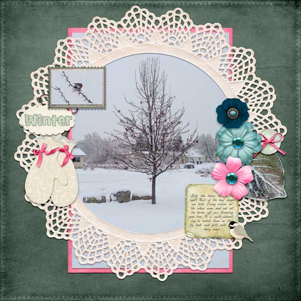 Birds and Berries