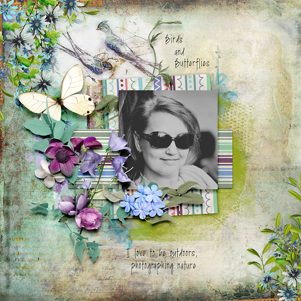 Birds and Butterflies