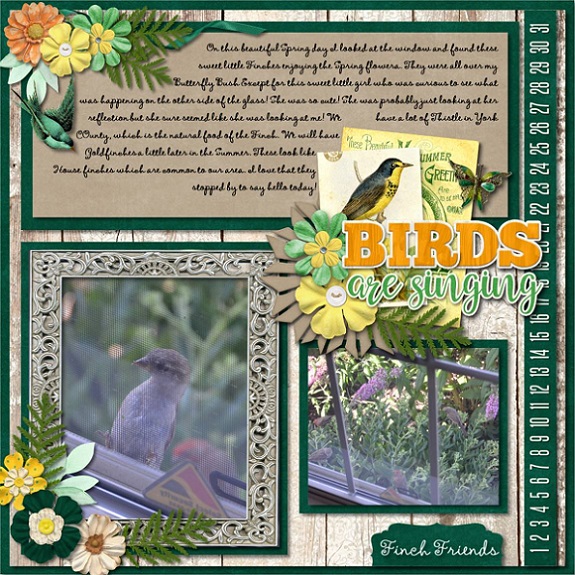 Birds are Singing