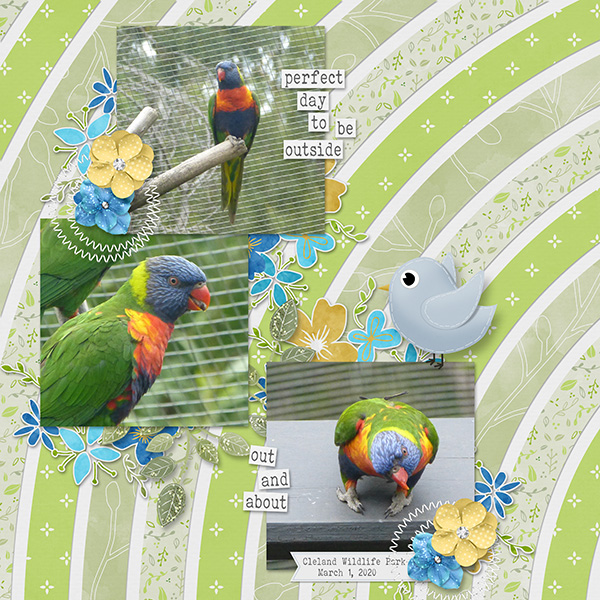 Birds at Cleland Wildlife Park