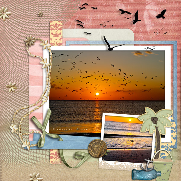 Birds at Sunset