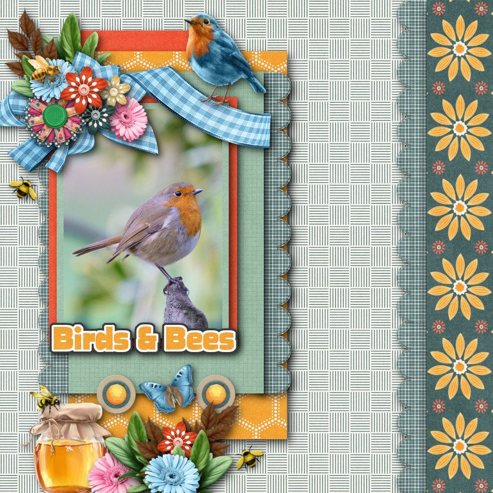 Birds & Bees