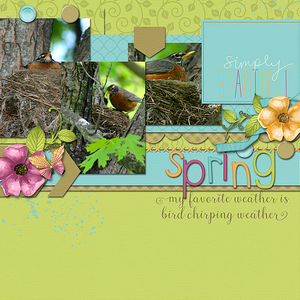 Birds Chirping