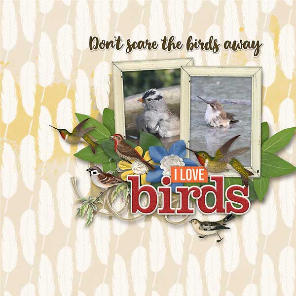 Birds-copy