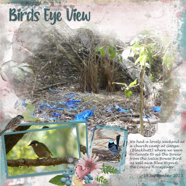 Birds Eye View