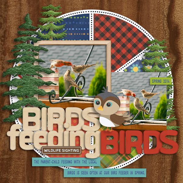 Birds feeding Birds