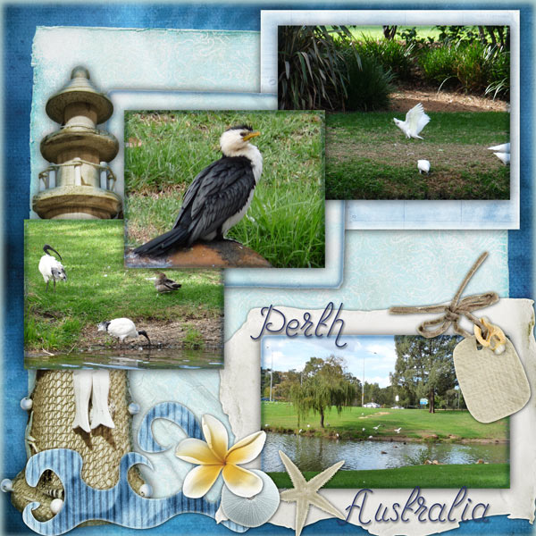 Birds in Perth, Australia