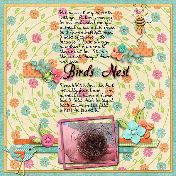 Birds Nest