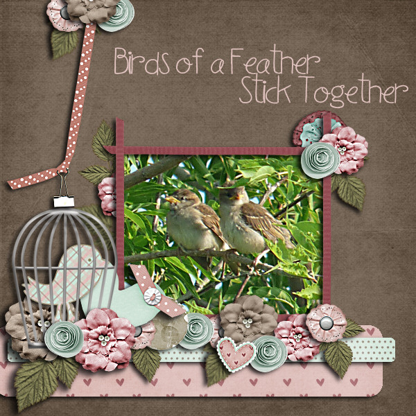 Birds of a Feather
