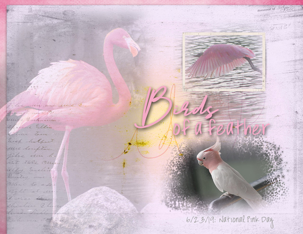 Birds of a feather