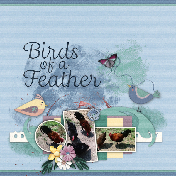 Birds of a Feather