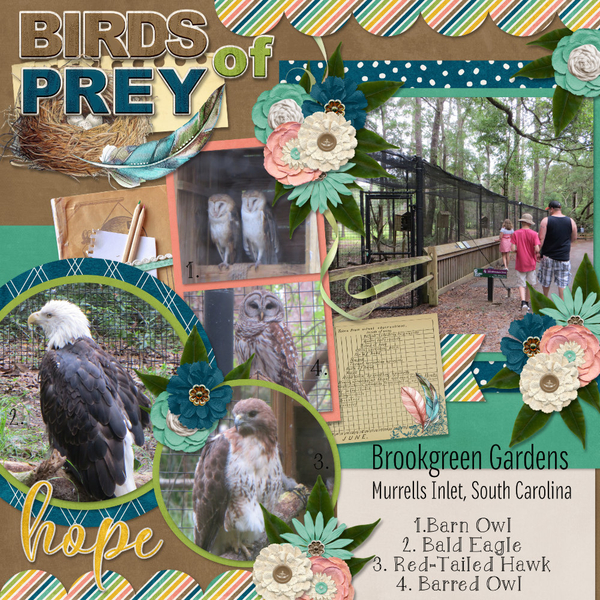 Birds of Prey
