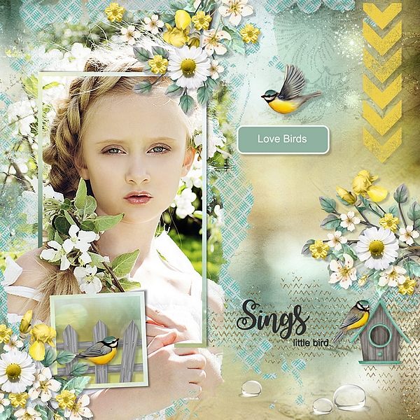 Birds of Spring