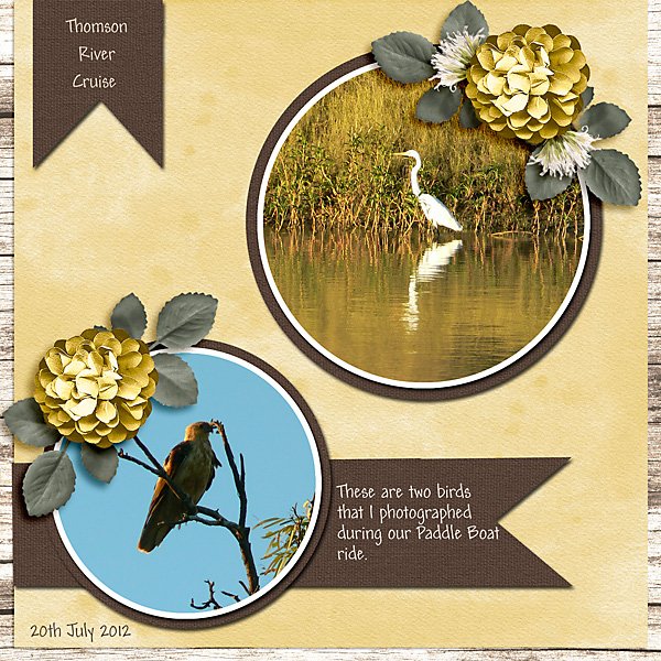 Birds on the Thomson River