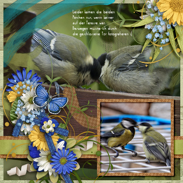 Birds!