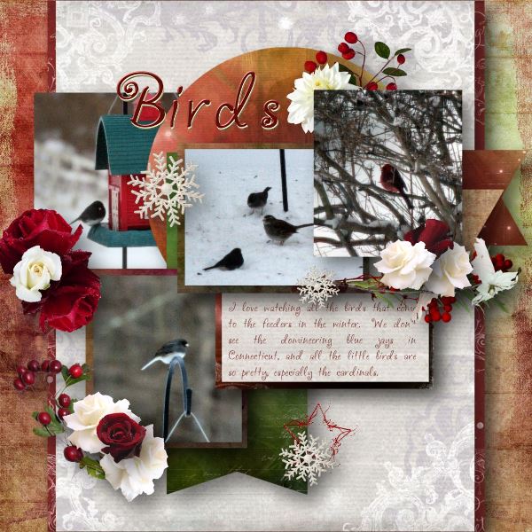 Birds