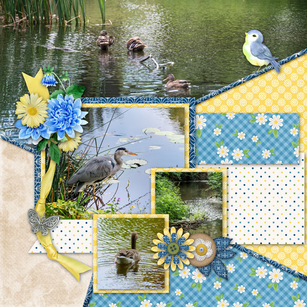Birds