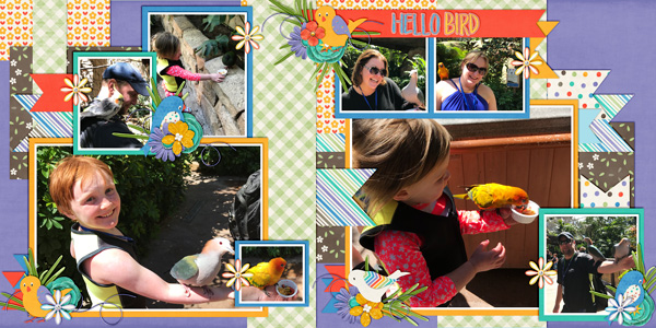 Birds