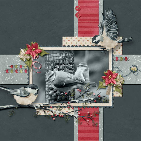 Birds