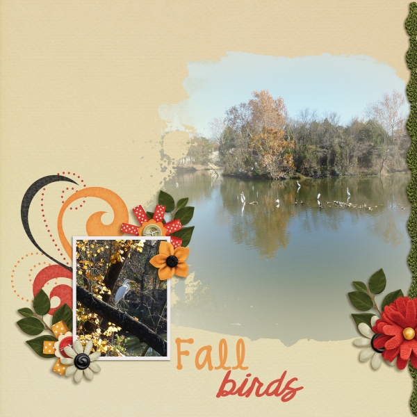 Birds