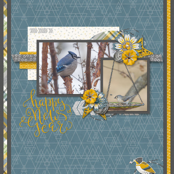 Birds!