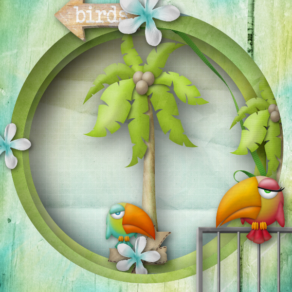 Birds