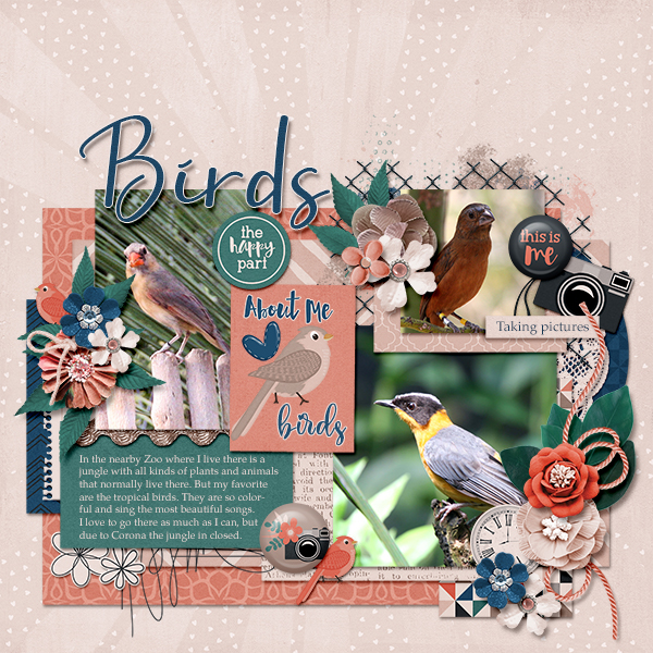 Birds