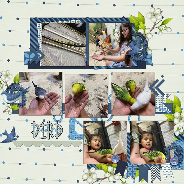 Birds