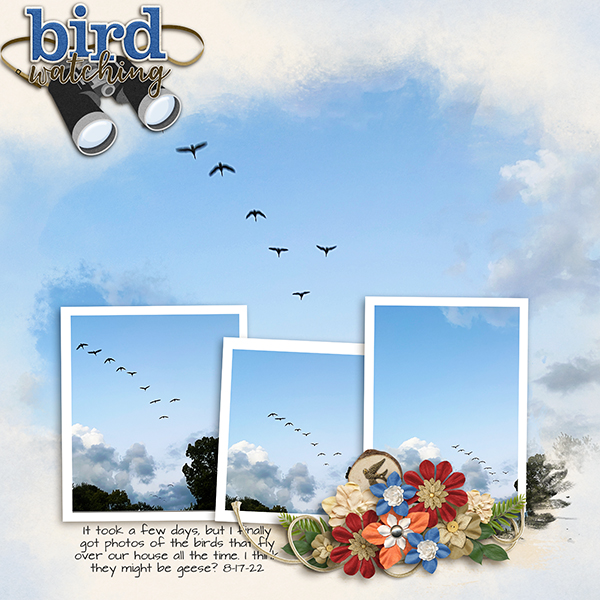 Birds