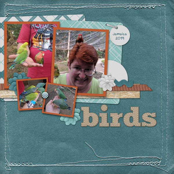 Birds