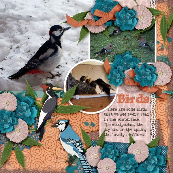 Birds11