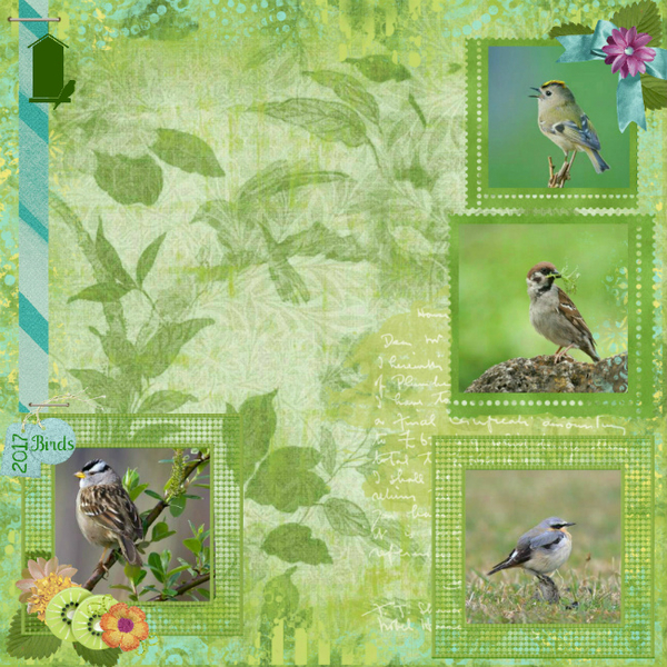 Birds2