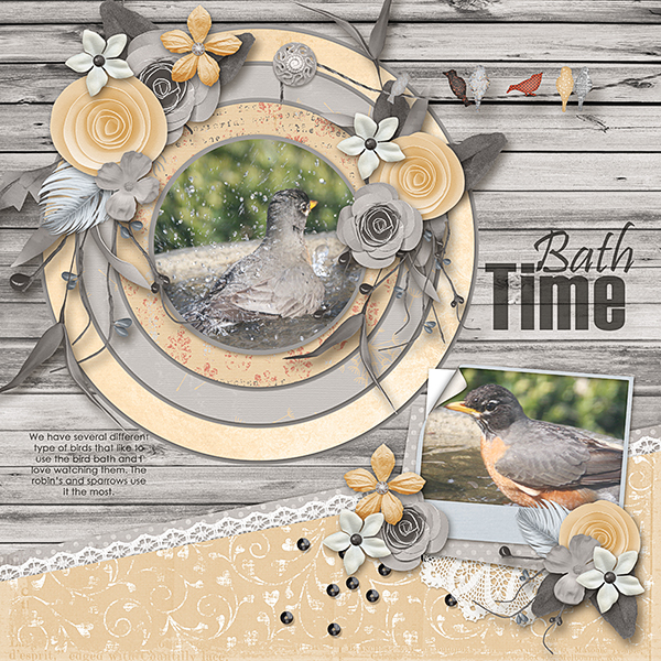 Birds8