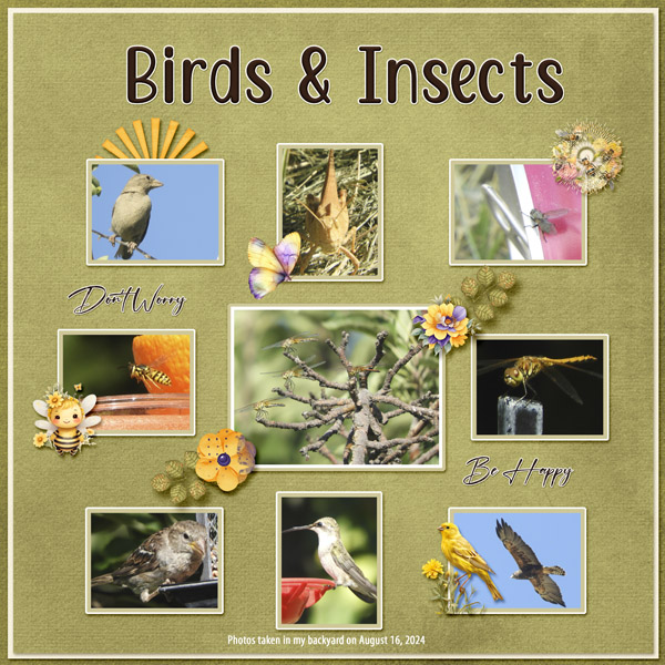 birds_and_insects_small