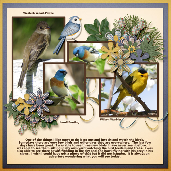 birds_small